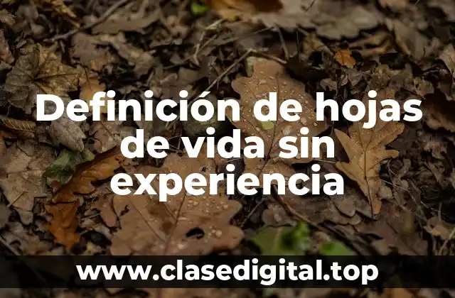 Definición de hojas de vida sin experiencia