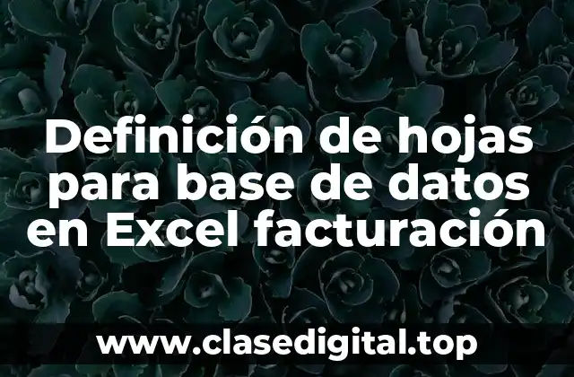Definición de hojas para base de datos en Excel facturación