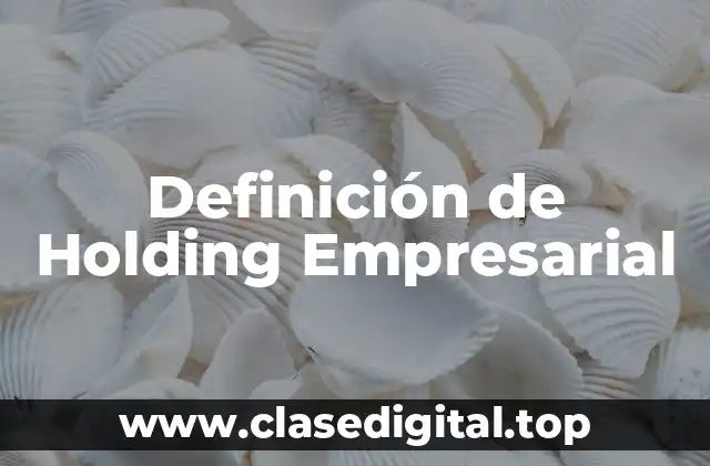 Definición de Holding Empresarial