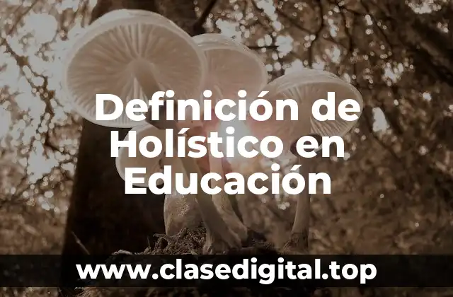 Definición de Holístico en Educación