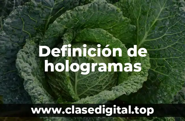 Definición de hologramas