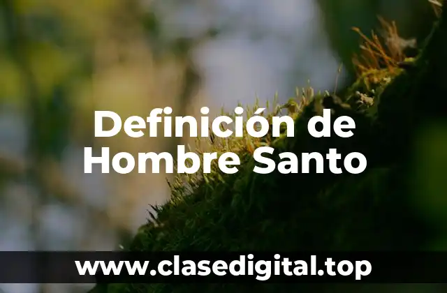 Definición de Hombre Santo