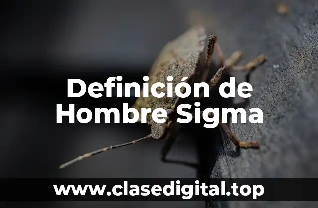 Definición de Hombre Sigma