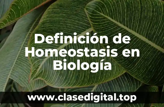 Definición de Homeostasis en Biología