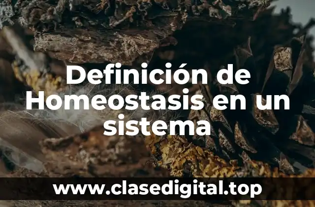 Definición de Homeostasis en un sistema