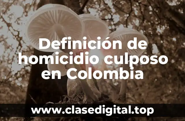 Ejemplos de homicidio culposo