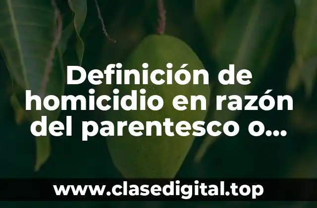 Definición de homicidio en razón del parentesco o relación