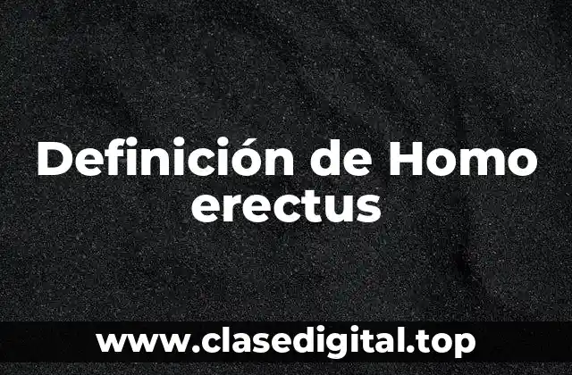 Definición de Homo erectus