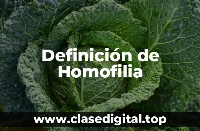 Definición de Homofilia