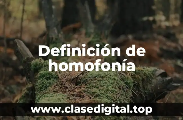 Ejemplos de homofonía