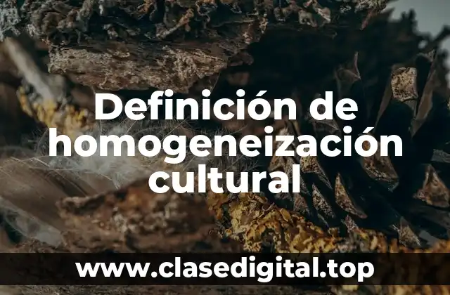 Definición de homogeneización cultural