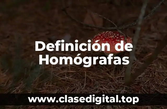 Definición de Homógrafas