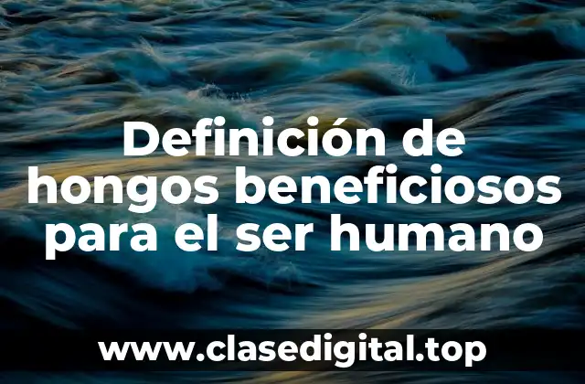 Definición de hongos beneficiosos para el ser humano