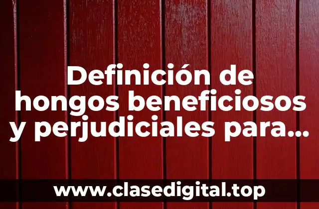Definición de hongos beneficiosos y perjudiciales para el hombre