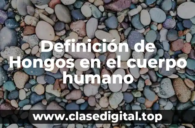Definición de Hongos en el cuerpo humano