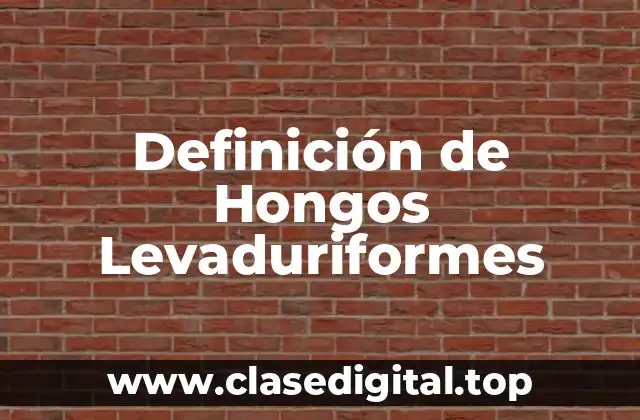 Definición de Hongos Levaduriformes