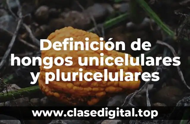 Definición de hongos unicelulares y pluricelulares