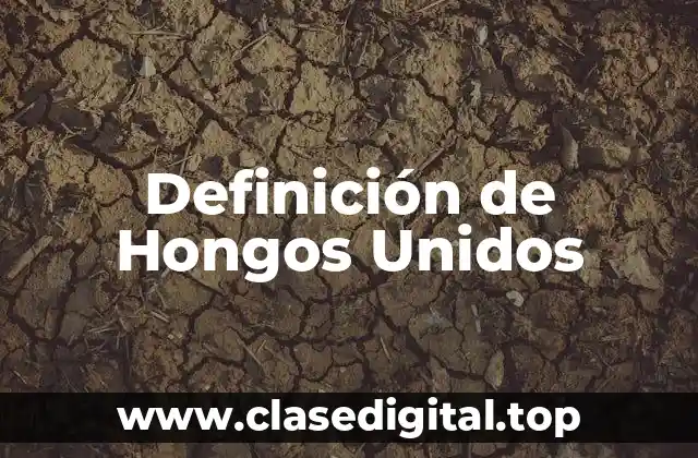 Definición de Hongos Unidos