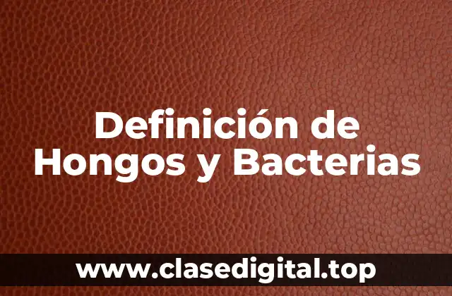 Definición de Hongos y Bacterias