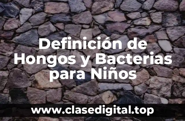 Definición de Hongos y Bacterias para Niños