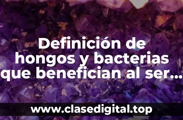 Definición de hongos y bacterias que benefician al ser humano