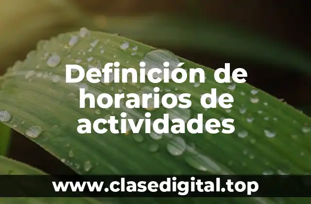 Ejemplos de horarios de actividades