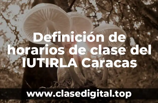 Definición de horarios de clase del IUTIRLA Caracas