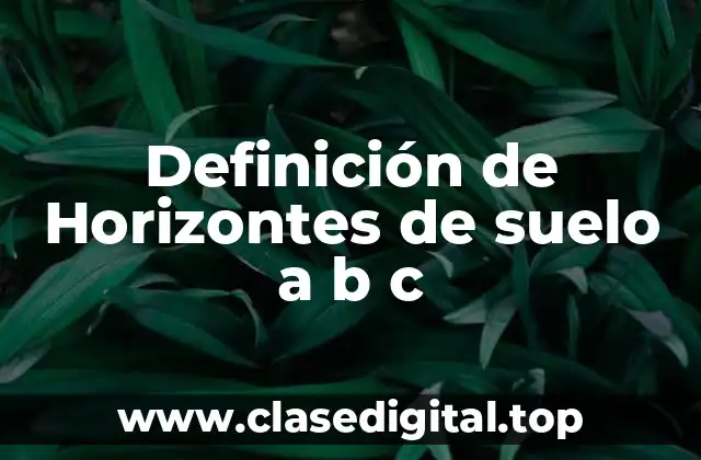 Definición de Horizontes de suelo a b c