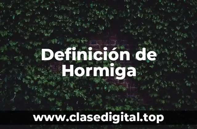Definición de Hormiga