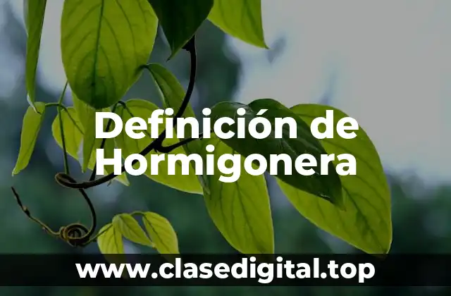 Definición técnica de Hormigonera
