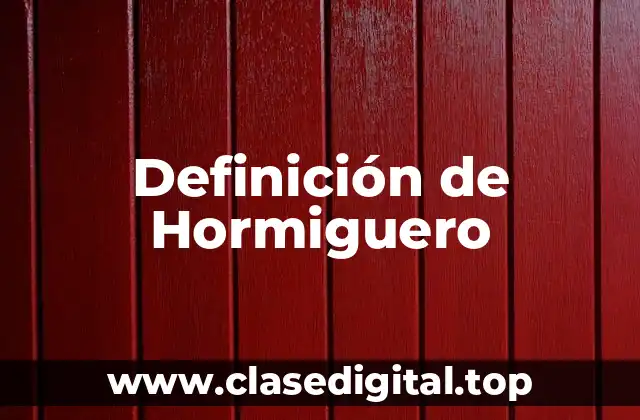 Definición de Hormiguero