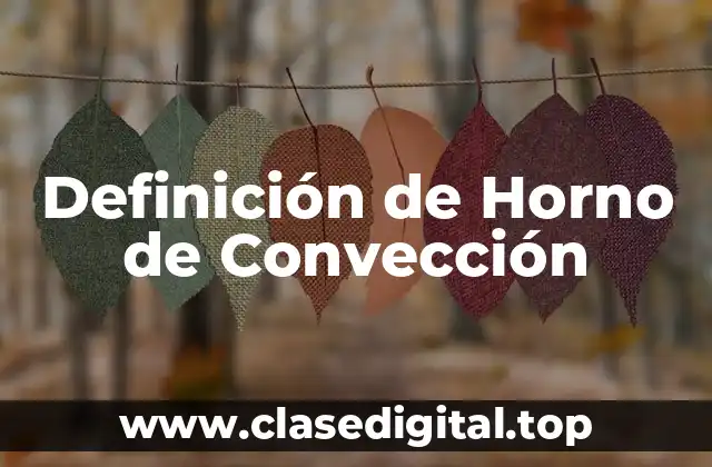 Definición de Horno de Convección