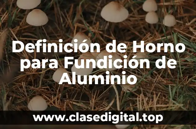 Definición de Horno para Fundición de Aluminio