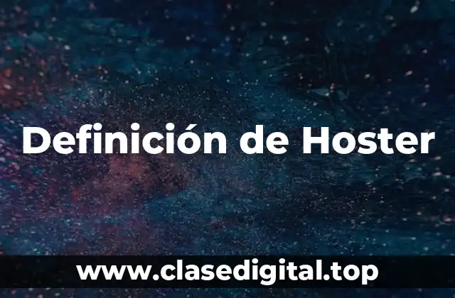 Definición técnica de Hoster