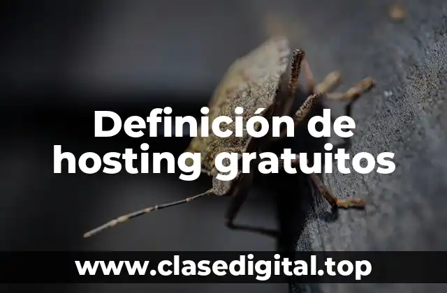 Definición de hosting gratuitos