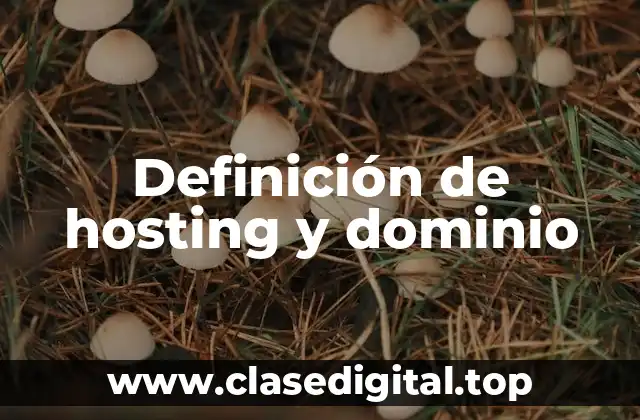 Definición de hosting y dominio