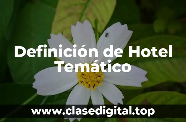 Definición de Hotel Temático
