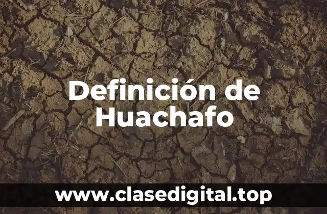 Definición de Huachafo