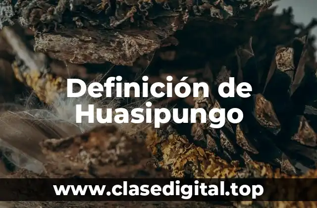 Definición de Huasipungo