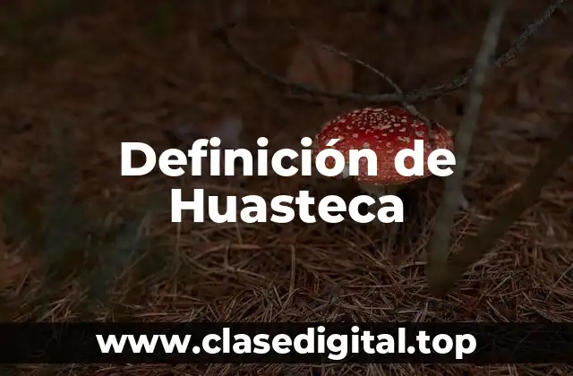 Definición de Huasteca