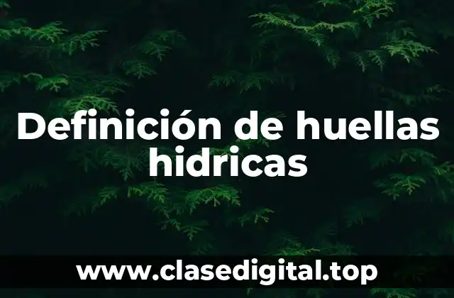 Definición de huellas hidricas