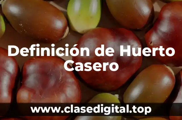 Definición de Huerto Casero