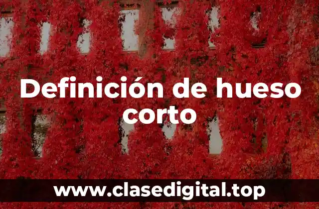 Definición de hueso corto