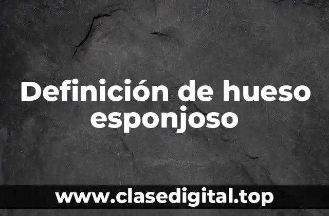 Definición de hueso esponjoso