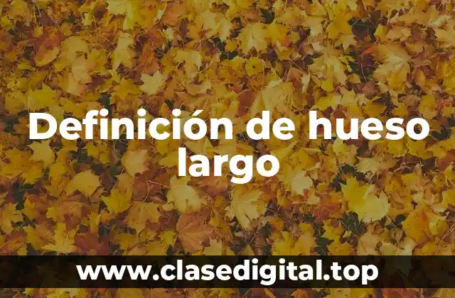 Definición de hueso largo