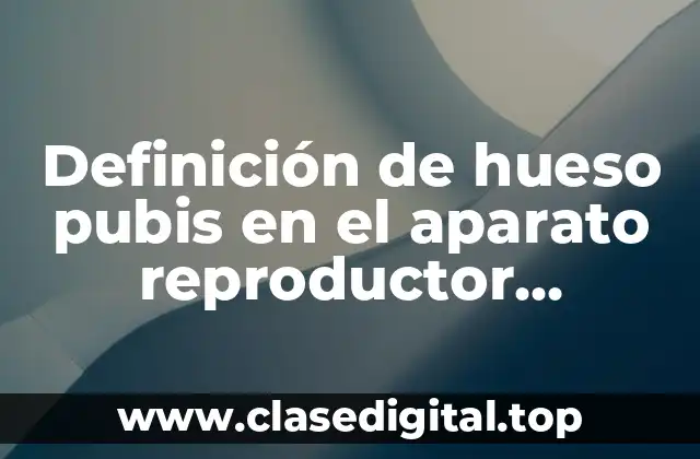 Definición de hueso pubis en el aparato reproductor masculino