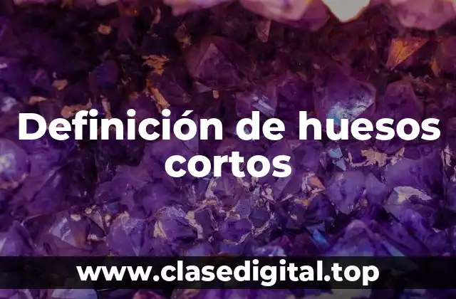 Definición de huesos cortos