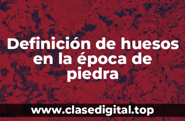 Definición de huesos en la época de piedra