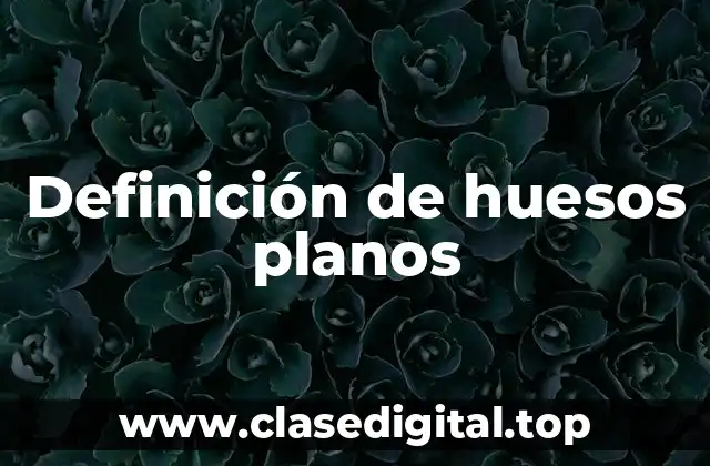 Ejemplos de huesos planos