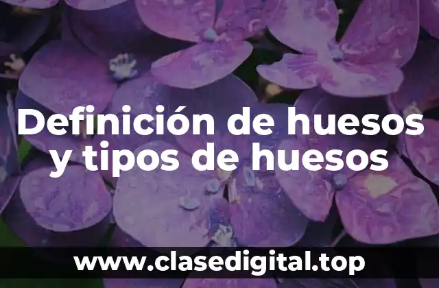 Definición de huesos y tipos de huesos